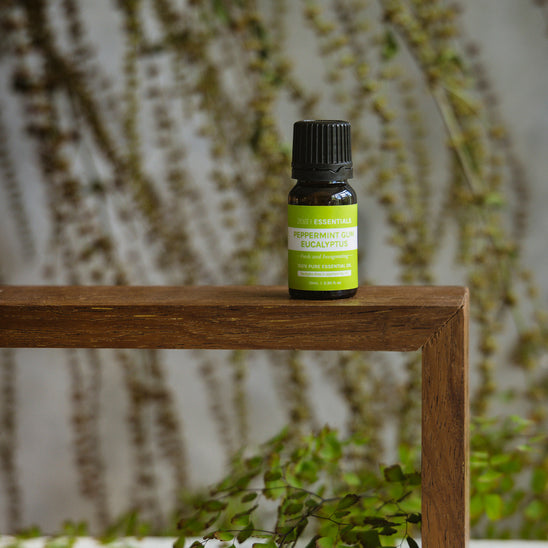 Peppermint Gum Eucalyptus Essential Oil